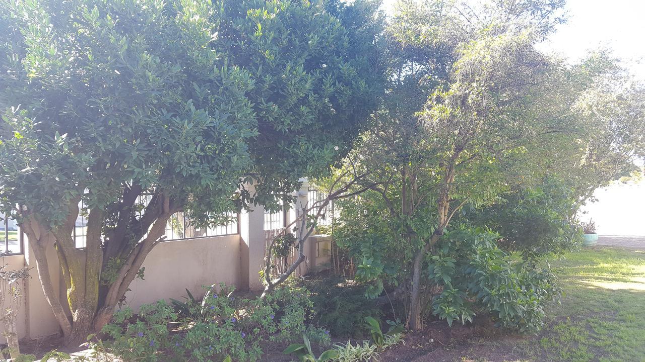 Blu Bed & Breakfast Port Elizabeth Exteriér fotografie